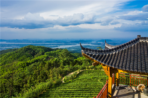 杭州市萧山区义桥镇湘东村